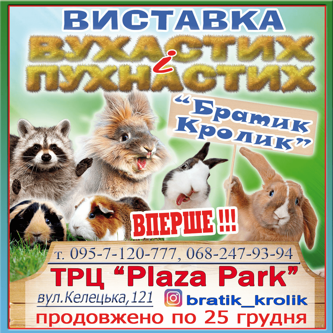 Виставка вухастих і пухнастих “Братик Кролик” продовжена!